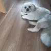 Robert Samson - @robert.samson42 - TikTok