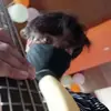 Jhon Robert Samudio  - @its_me_mr_piggy0_0 - TikTok