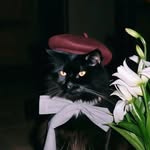 ʀᴏʙᴇʀᴛ✞ - @robertsamuel4062 - Instagram