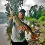 Robert Sander - @robsander - Instagram