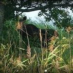Robert Sandström - @robert.sandstrom71 - Instagram