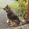 bobo - @robertsandusky1 - TikTok