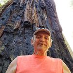 Robert D Sanetick - @robertsanetick - Instagram