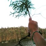 Robert Sapp - @mighty_sappling - Instagram