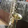 ROBERT SAX - @robert135567b - TikTok