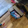 robertsaxby816 - @robertsaxby816 - TikTok