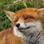 Robert Sayer - @robbie_say64 - Instagram