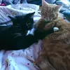 Robert Sayer - @robert.sayer07 - TikTok