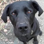 Robert Sayles - @robertsayles08 - Instagram