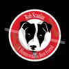 Robert Scanlan - @robertscanlan - TikTok