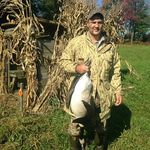 Robert Scarfo - @robertscarfo - Instagram