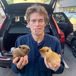 Robert Scarfogliero - @roberto_scarfogliero - Instagram