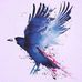 Robert Schacherbauer - Facebook