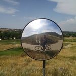 Robert Scheer - @robert.scheer.359 - Instagram