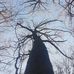 Robert Scheidler - Facebook