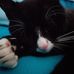 Robert Scheller - Facebook