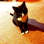 robert scheller - @sche.robert68 - Instagram