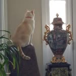 Robert Schisler - @robertschisler - Instagram