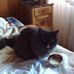 Robert Schleifer - Facebook