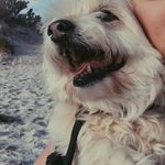 Robert 'Bob' Schlein - @emma.g.schlein - Instagram