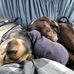 Robert Schmidt - Facebook