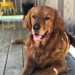 Robert Schnarr - @robertschnarr5 - Instagram
