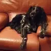 roberte schoeny - @roberte.schoeny - TikTok