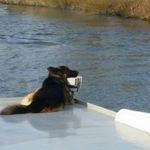 Robert Scholten - @mts_zambezi - Instagram