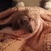 Robert Scholtes - Facebook