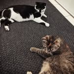 Robert Schön - @mayamia.schoen - Instagram