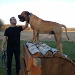 Robert Schönherr - @schonherrrobert - Instagram