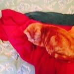 Christopher Robert Schreier - @christopherschreier - Instagram