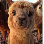 Robert Schroth - @robert.schroth1 - Instagram