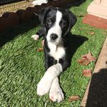 Prince Robert Scully Haws - @princerobertscully - Instagram