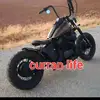 Robert Curran - @robert.curran3 - TikTok