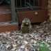 Robert Secord - Facebook