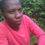 Robert  seif - @robertseif552 - Instagram