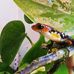 Robert Alois Seipp - Facebook
