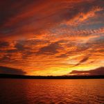 Robert Selfridge - @robertselfridge - Instagram