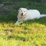 Serretti Roberta - @serrettiroberta - Instagram