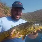 Robert Seton-Rogers - @robertsetonrogers - Instagram