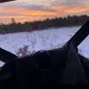 robertseton - @robertseton - TikTok