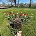 Robert Shackleton - Facebook