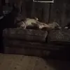 Robert Shaddox - @robert.shaddox5 - TikTok