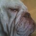 Rob Shaffer - Facebook