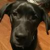 Robert Shaffer486 - @robertshaffer486 - TikTok