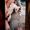 ROBERT SHEAVES - @robert.sheaves - TikTok