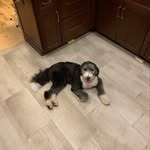 Robert Sheeran - @b.ed_sheeran - Instagram