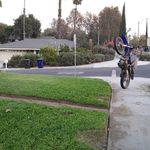 robert.sheffler@yahoo.com - @robert.sheffleryahoo.com2 - Instagram