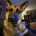 Robert Sheldon - Facebook